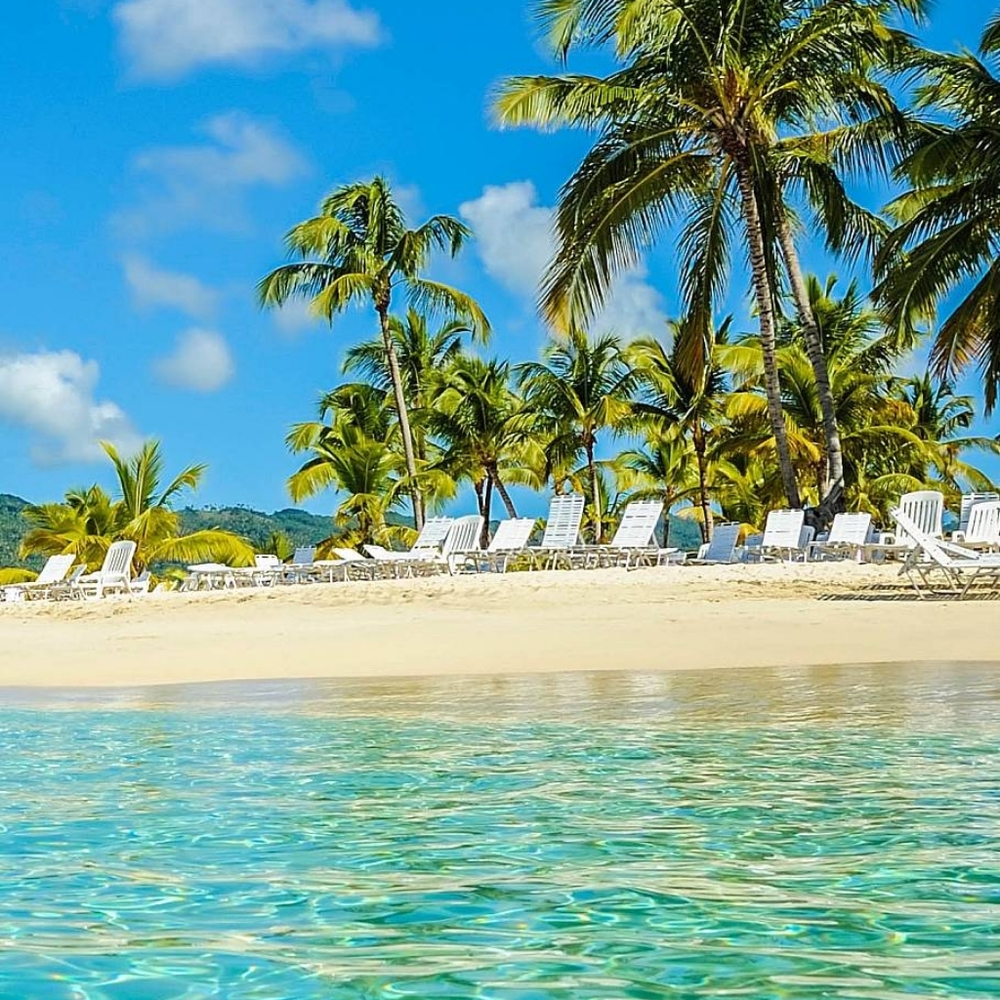 Meet your Posher, Betty